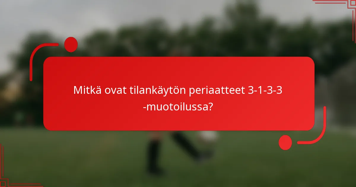 Mitkä ovat tilankäytön periaatteet 3-1-3-3 -muotoilussa?